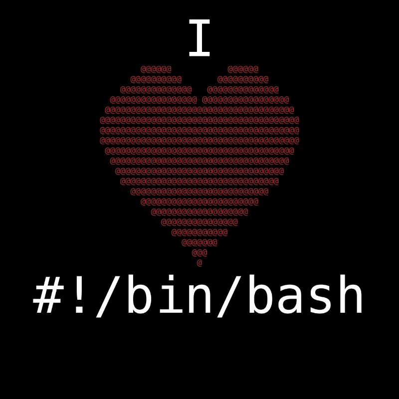 I Love Bash Administrator Developer Gift