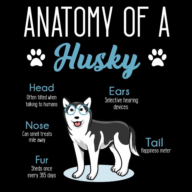 Huskyhund