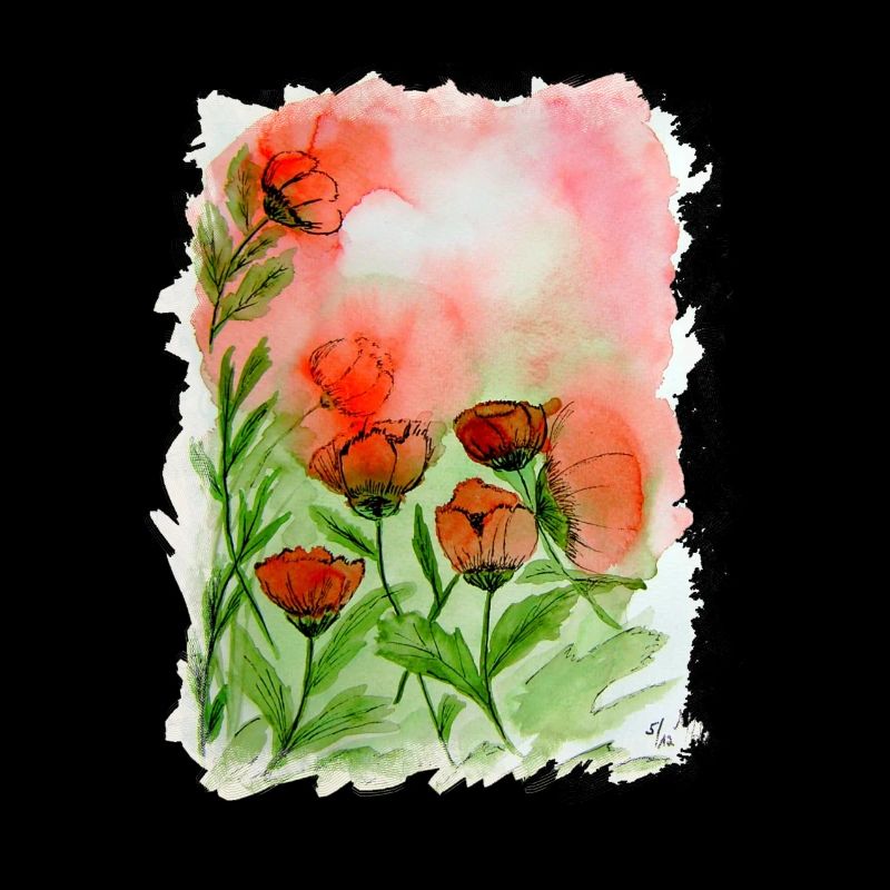 Mohnblumen Aquarell