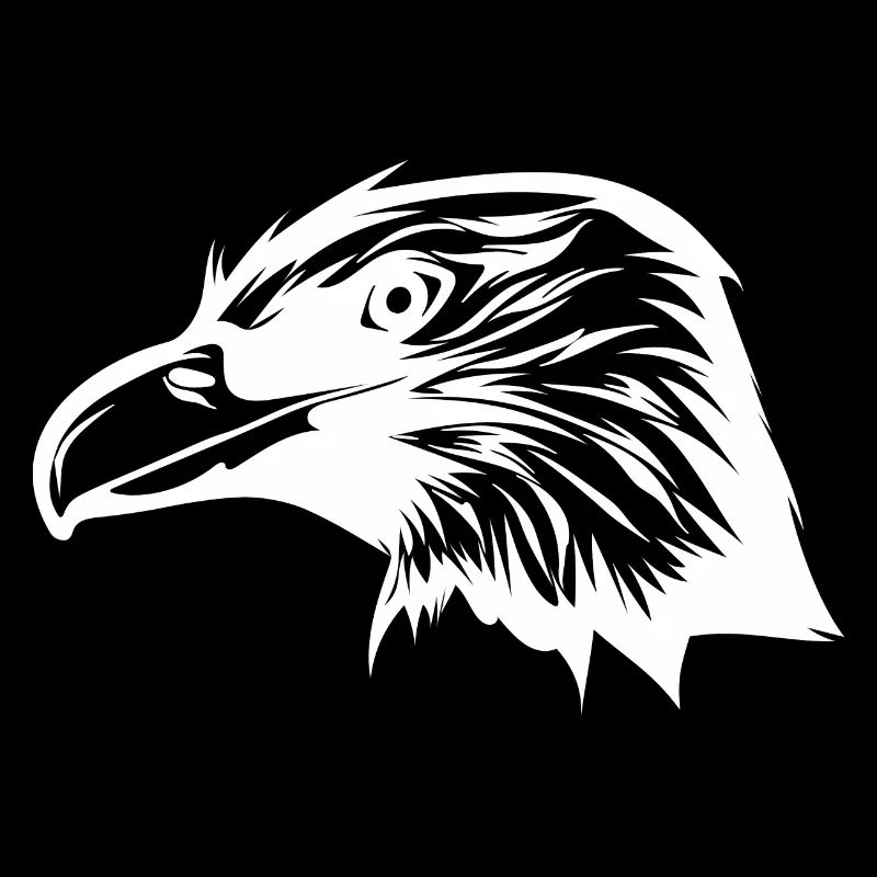 Clever vintage raven head