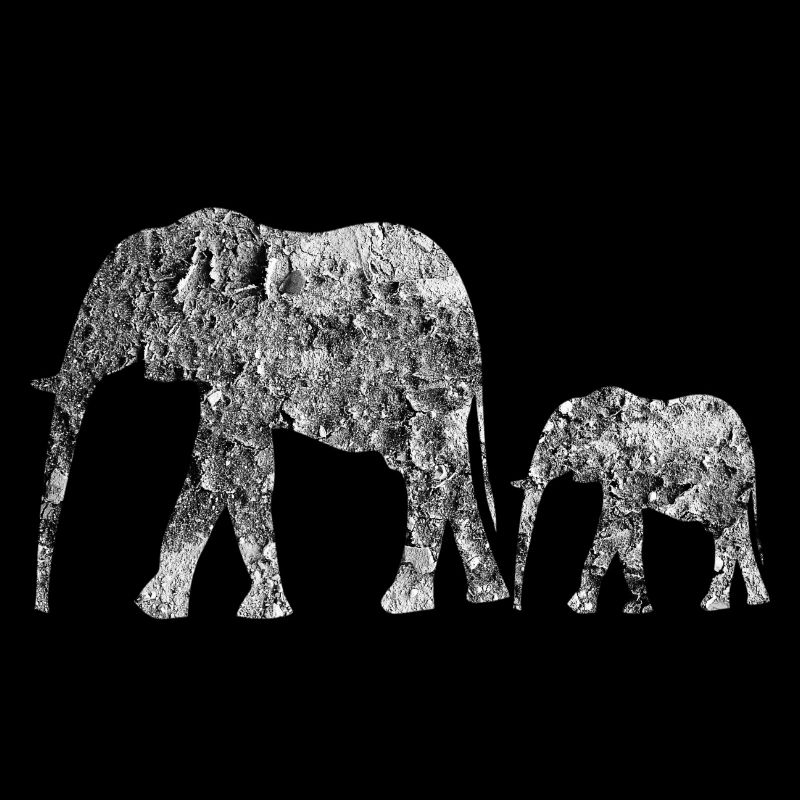 éléphants