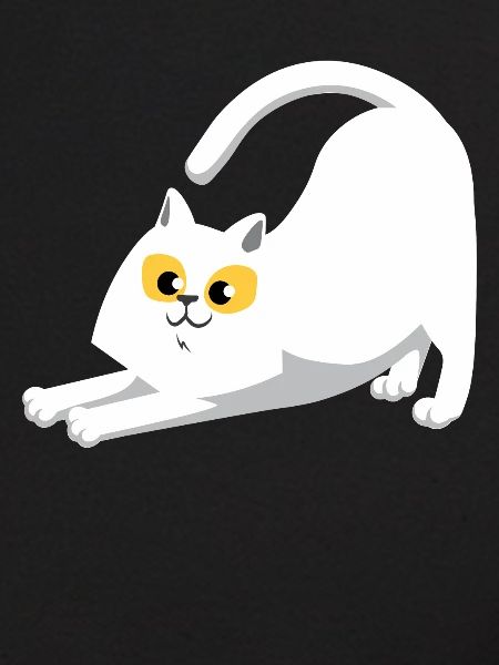 Chat blanc qui s'étend