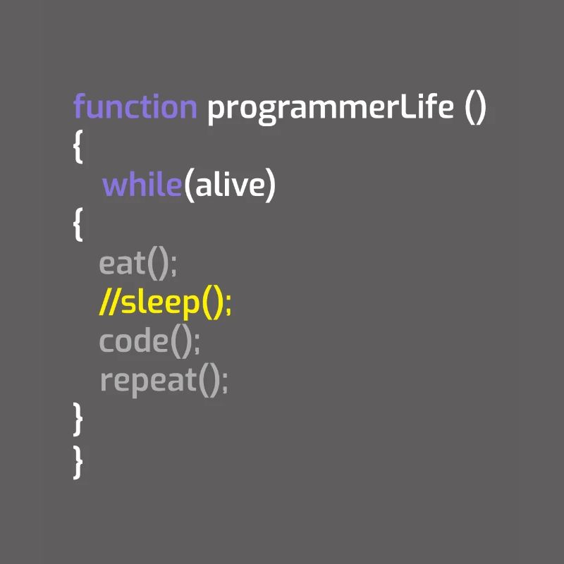 Programmeur informatique Codeurs Software Engineers Gift