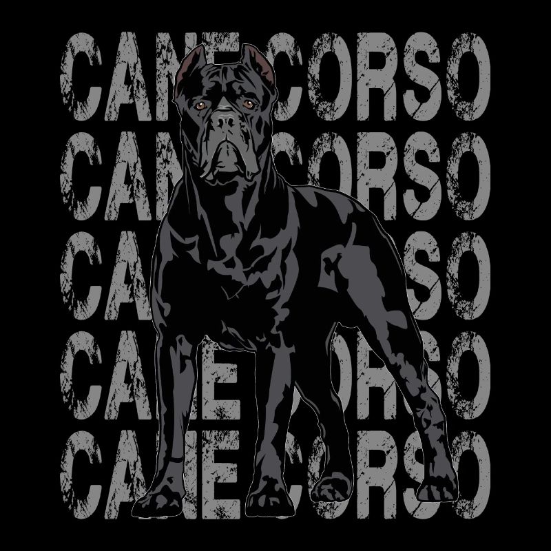 Cane Corso Molosser Mastiff Italien