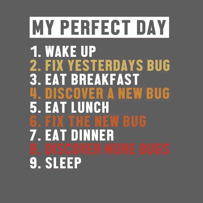 Fix Bugs Perfect Day Developer Coder Programmierer