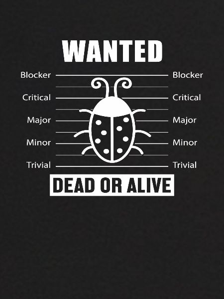 Bugs Wanted Softwareentwickler Developer