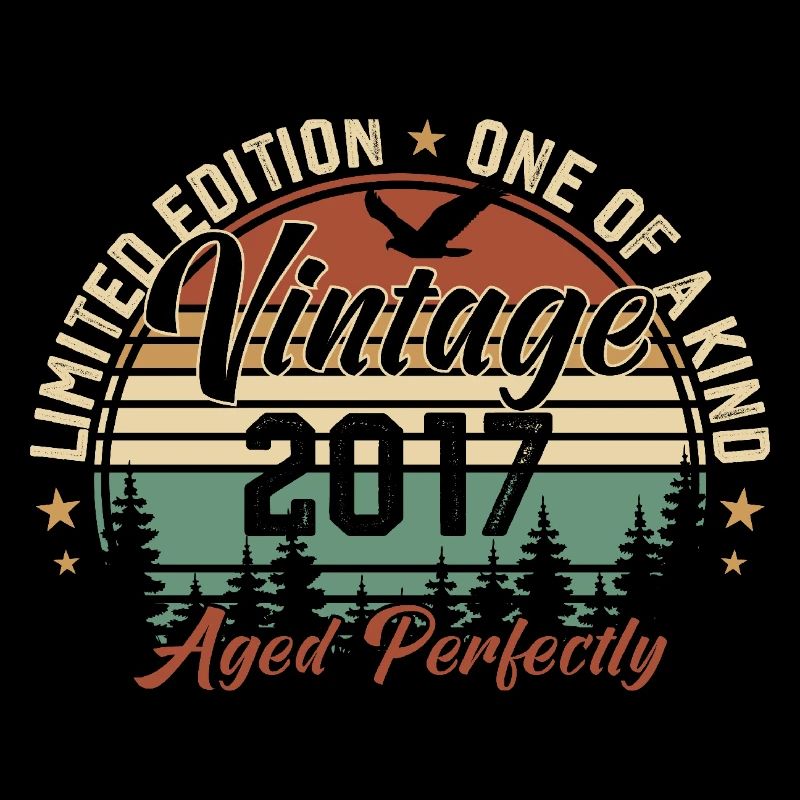 Vintage 2017 Rétro 2017 Cadeau D'anniversaire 2017