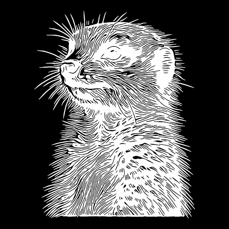 Süsses kleines Erdmännchen mit Querstreife