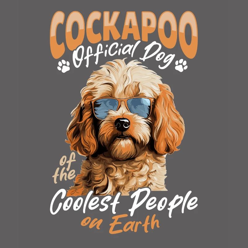 Cockapoo Race de chien Chien de compagnie Cockapoo Chien officiel