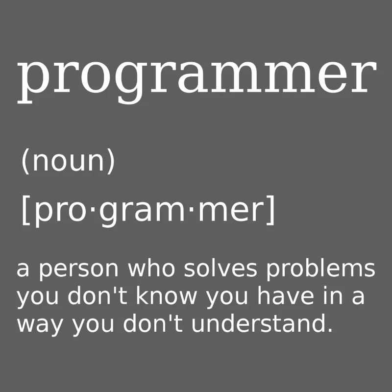 Programmer Spruch Informatiker Computer Scientist