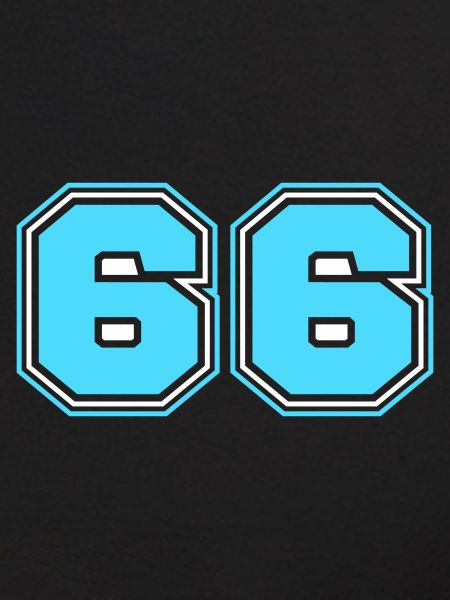 66 Numéro de numéro
