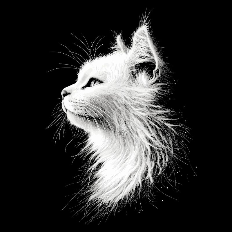 Chat Angora Blanc Chat Angora Chats Angora Mignons
