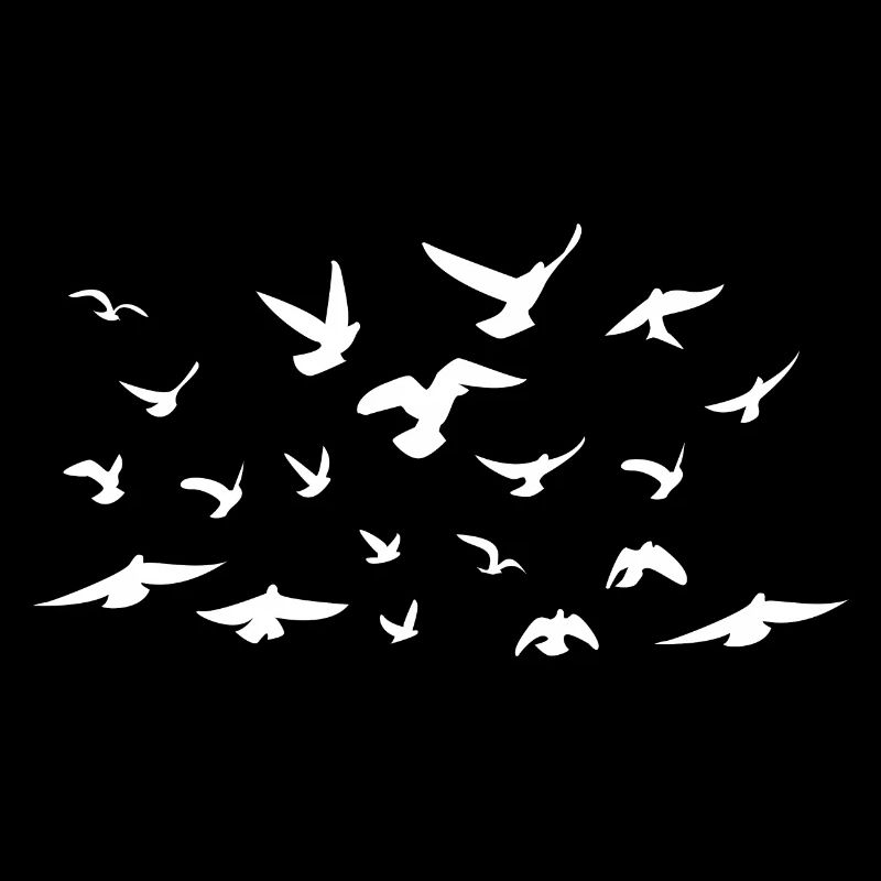 Birds - Oiseaux