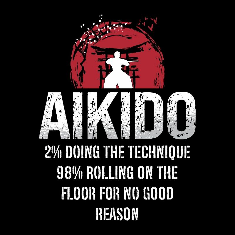 Aikido 2% Doing The Technique 98% Samurai Fighter