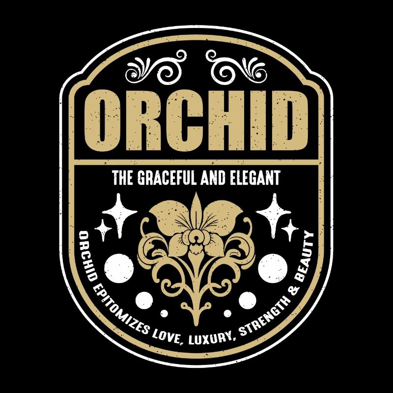 Orchidée Le Jardinage D’Orchidées Gracieuses Et Élégantes