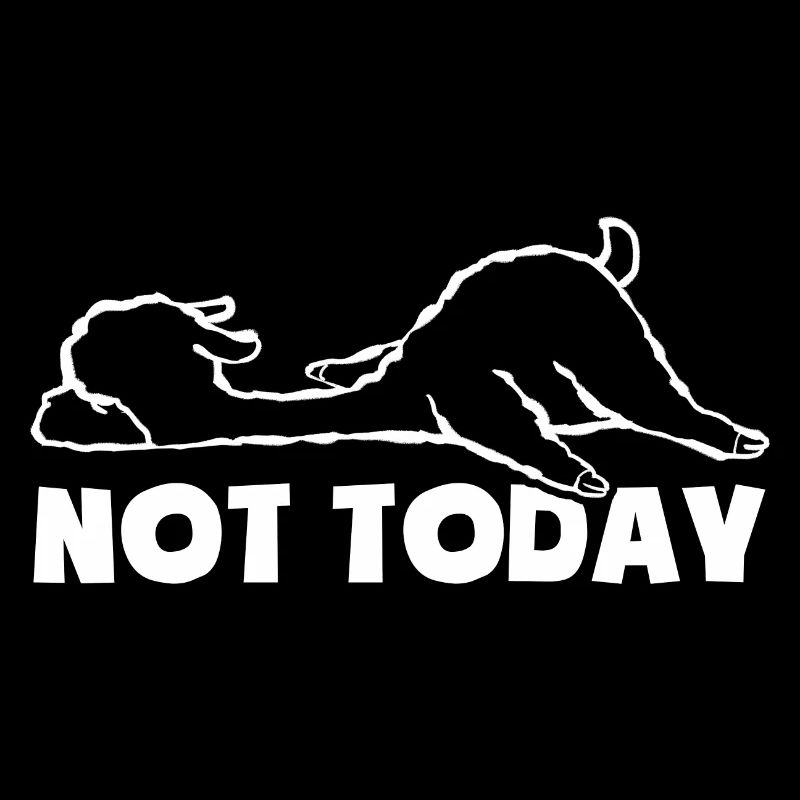 Not today - Tired and lazy - Lama