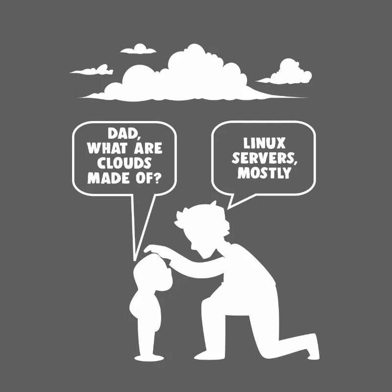 Linux software developer computer programmer