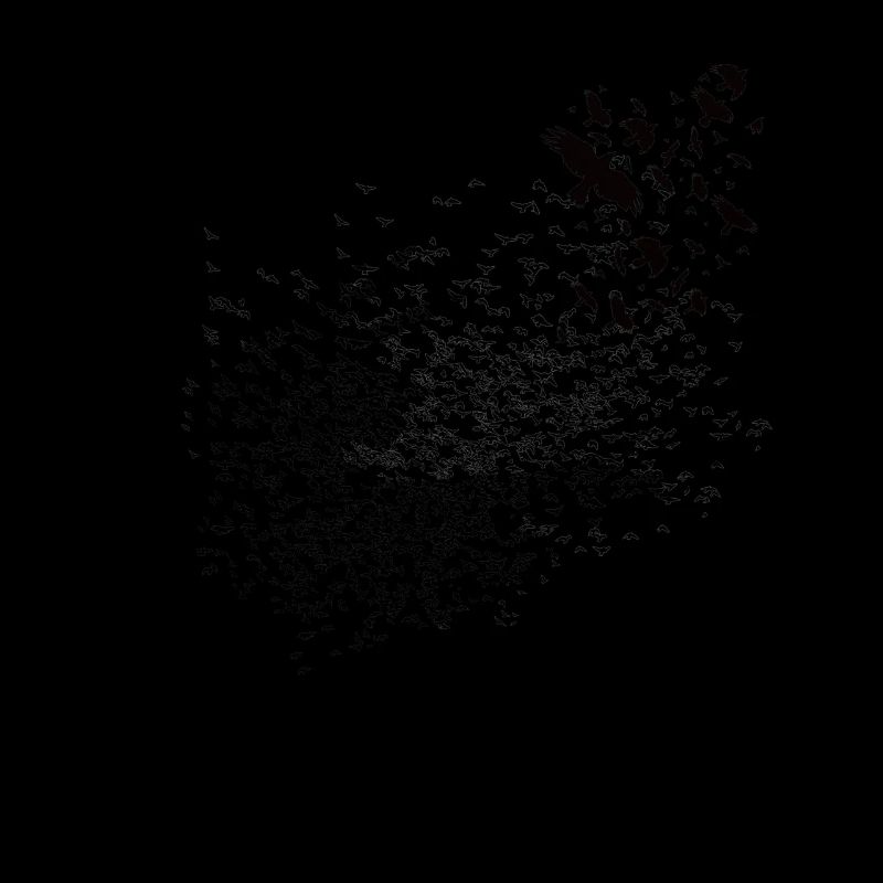 Vikings - Graphique des corbeaux Walhalla