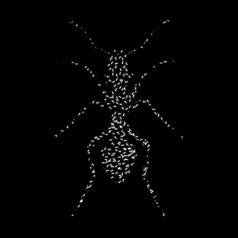 Fourmis de fourmis