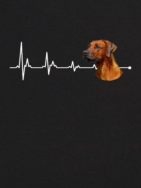 Rhodesian Ridgeback