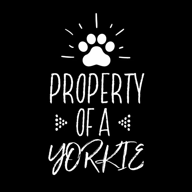 Eigentum eines Yorkie