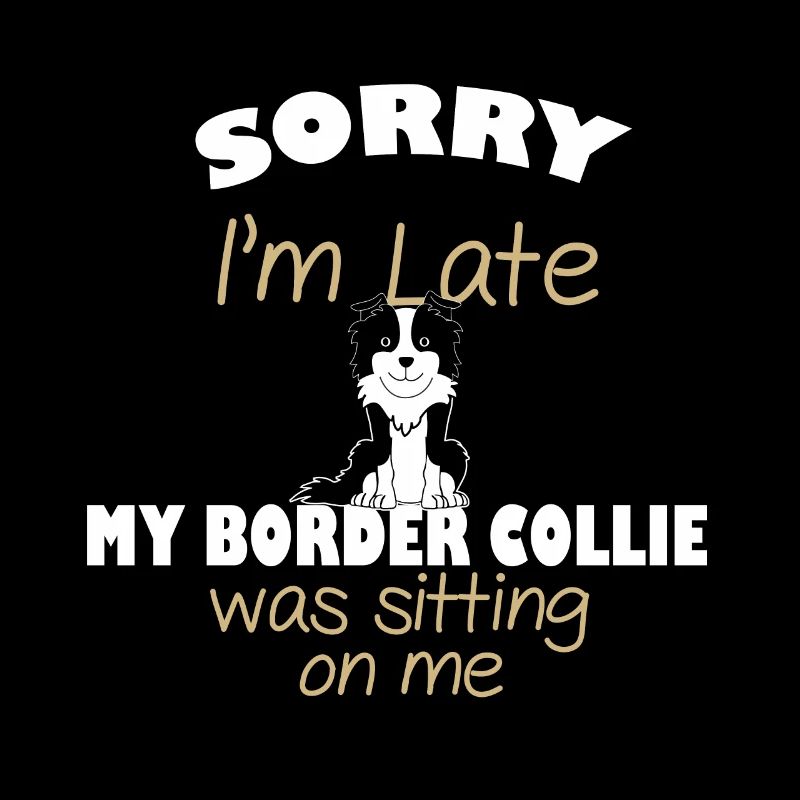 border collie