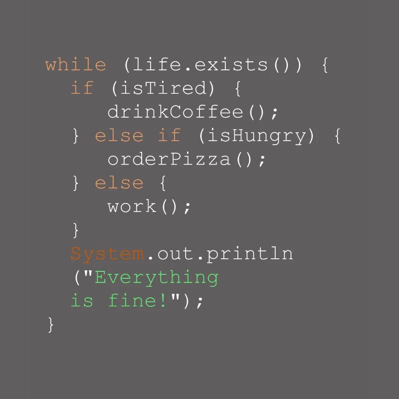 Programmierung, Programmierer und Programmcode