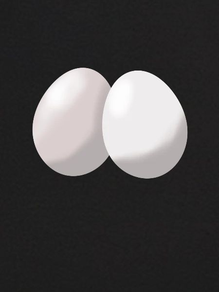 eggs