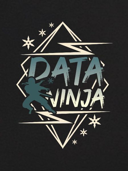 Data Scientist Data Enginieer