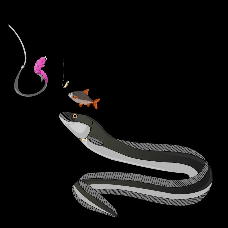 Aalrounder - Fishyworm - Pêche de l'anguille