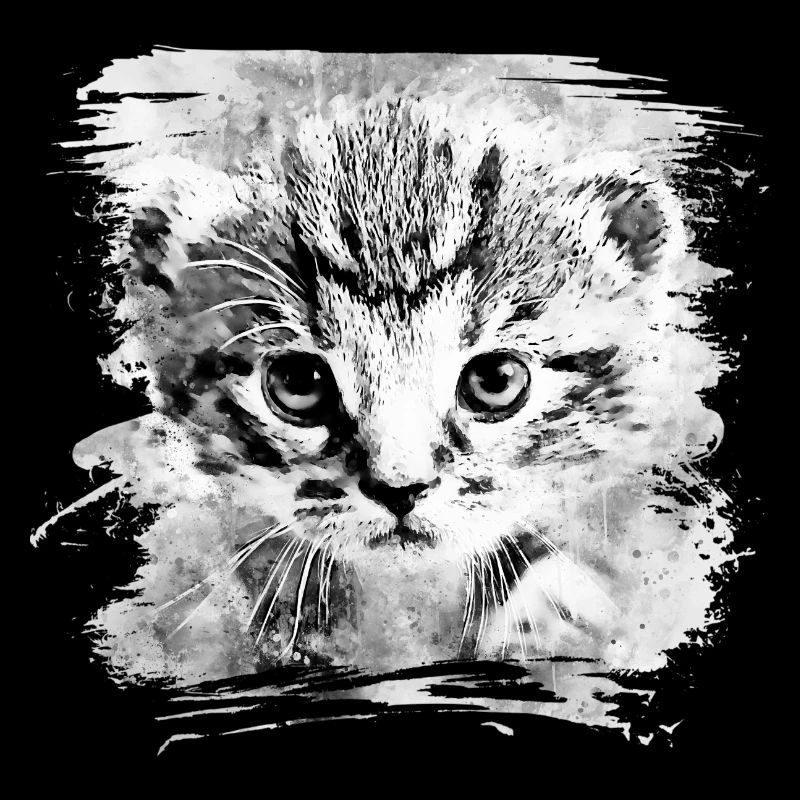 Baby Katze wsbw