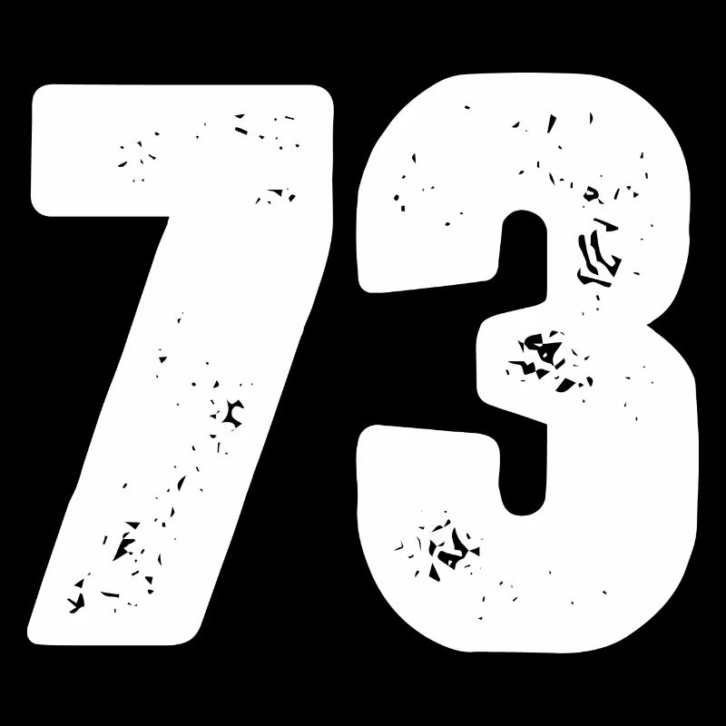 73 Maillot numéro