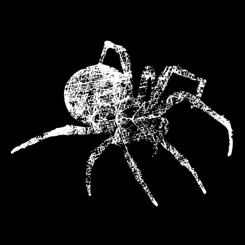 Grunge Spinne - spider distressed