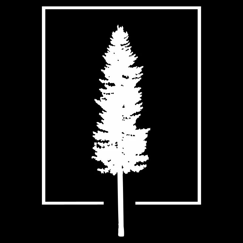 Arbre dans la boîte