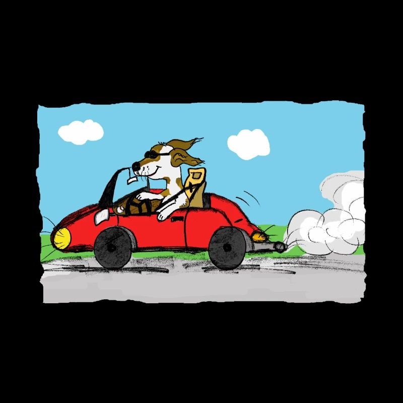 rennfahrer