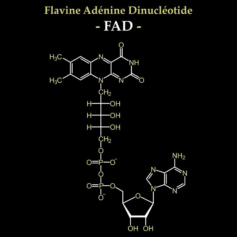 ADF Flavin-Adenin-Cofaktor