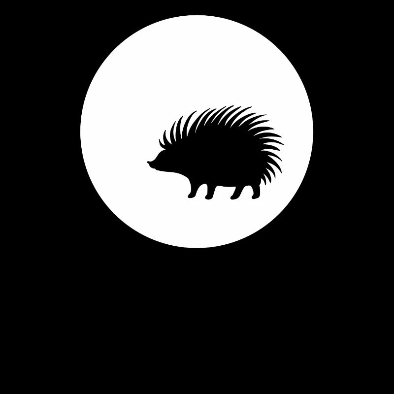 Hedgehog and Moon TSHIRT