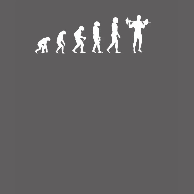 évolution de la formation
