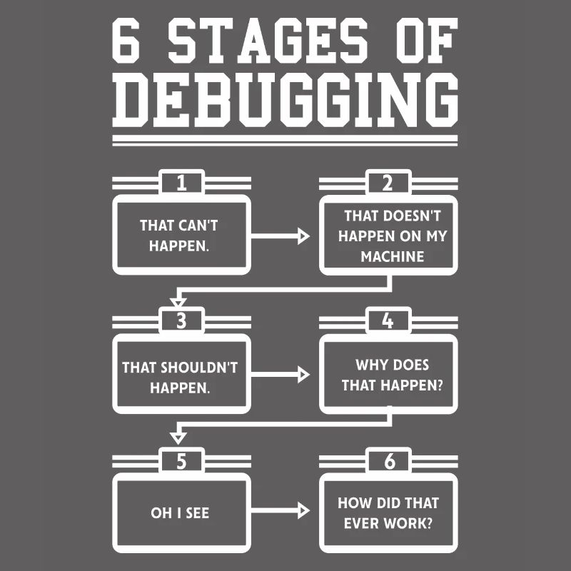 6 Stages of Debugging Software Programmeur