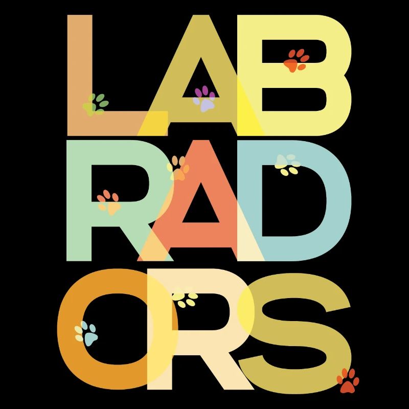 Labrador Hund Labradore