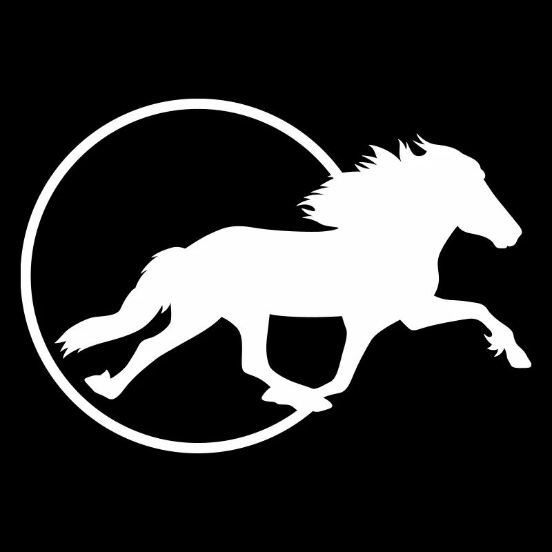 Cheval d’Islande - Pass de course