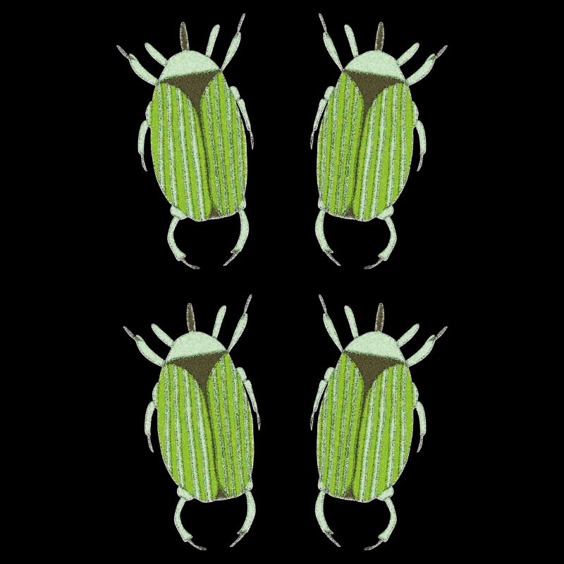 insecte vert