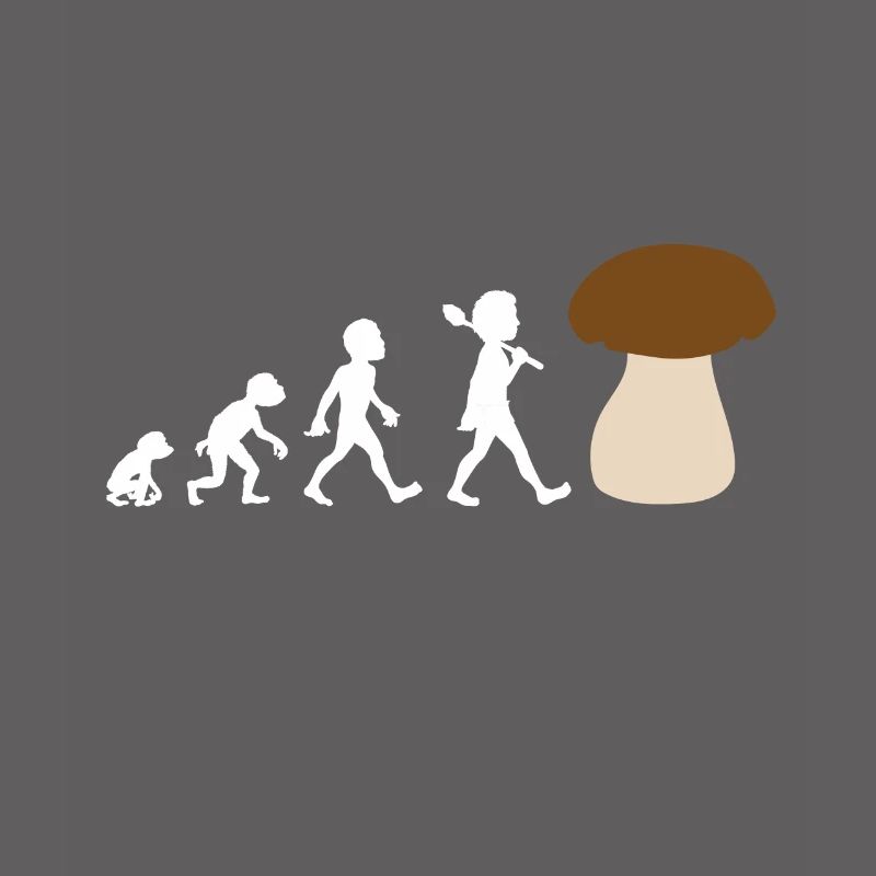 Conception de l'évolution d'un cèpe