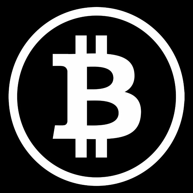 Bitcoin Logo Symbole Cercle Blanc Crypto Wallet