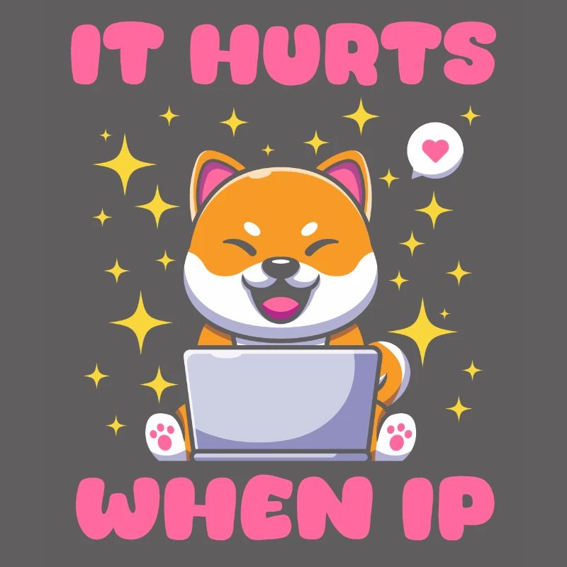 IT Geek, Accessoires PC Périphériques de stockage Evolution