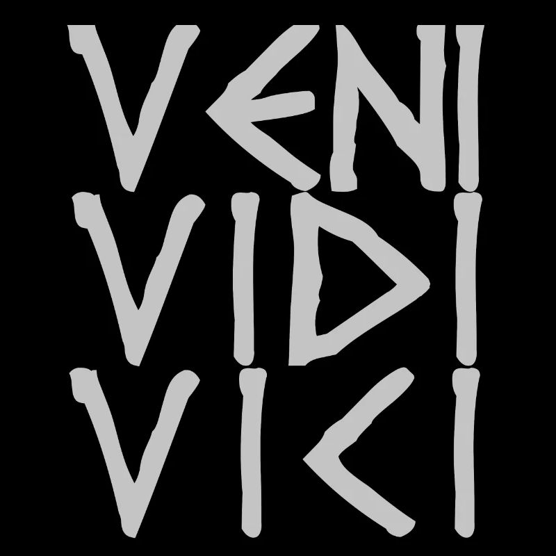 VENI VIDI VICI