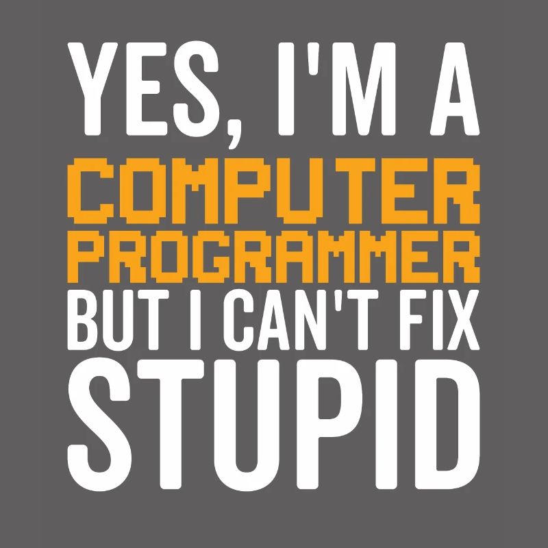 Stupide - Programmeur informatique