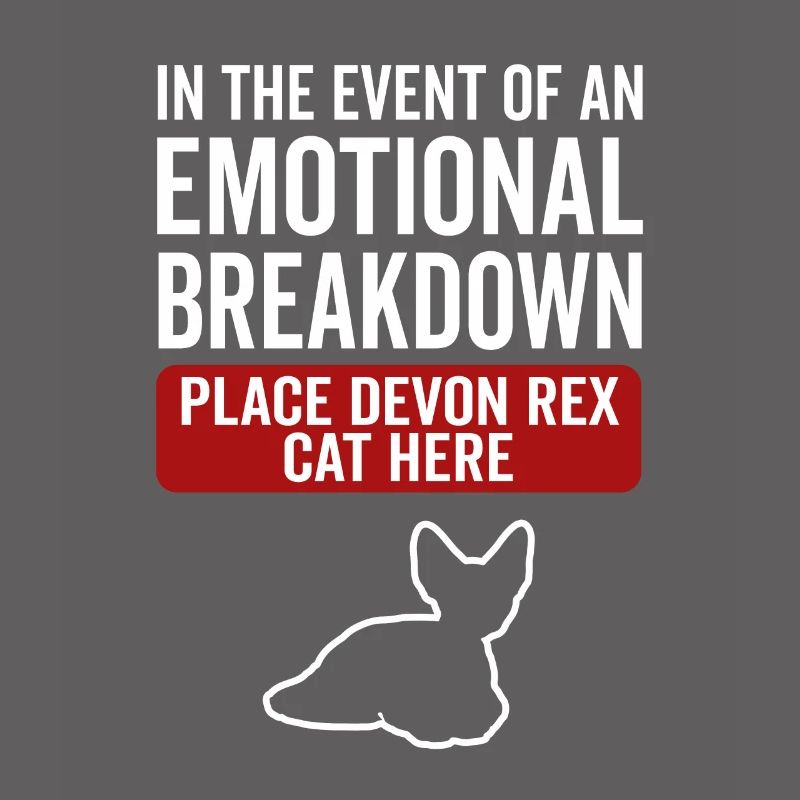 Émotionnel - Devon Rex Cat