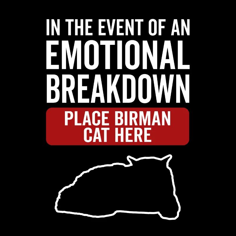 Emotional - Birman Katze