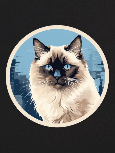 Chat birman